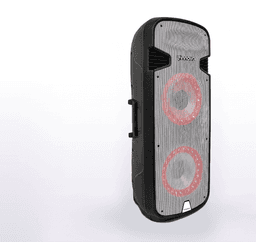 Parlante amplificado doble 15" con ruedas