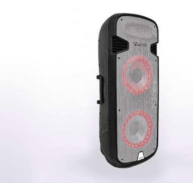 Parlante amplificado doble 15" con ruedas